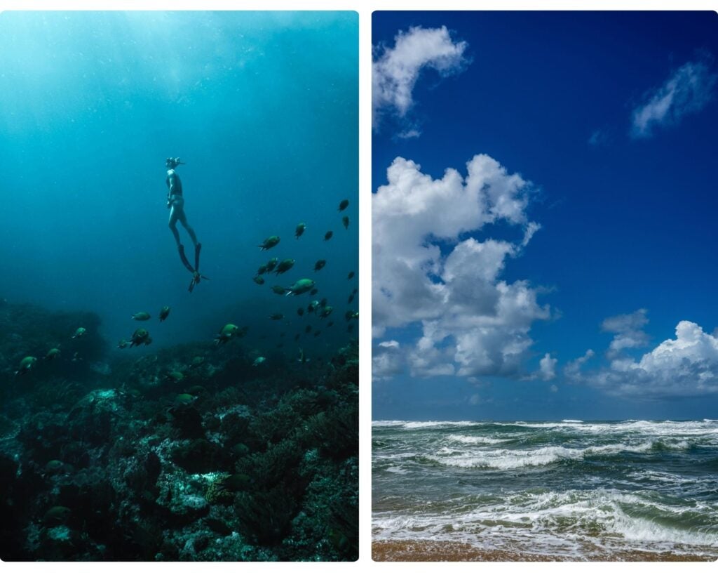 buceo en mozambique, pasos