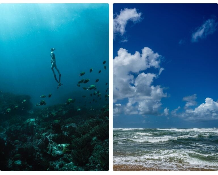 buceo en mozambique, pasos