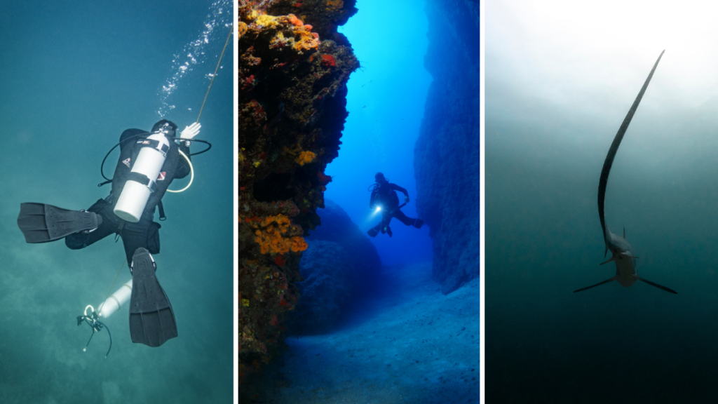 Haciendo buceo en Malapascua puedes recorrer el fondo marino del Mar de Bisayas.