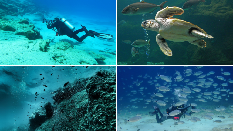 Creta ofrece distintos lugares para buceo.