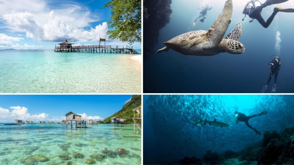 mejores escuelas de buceo en borneo