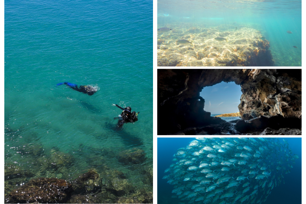 Imágenes de personas realizando buceo en Jávea.