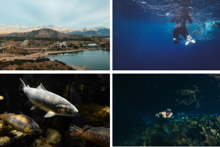 Mejores lugares para realizar buceo en Mendoza
