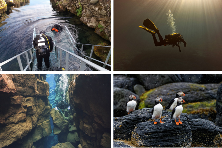 Imágenes que representan algunos de los mejores lugares para realizar buceo en Islandia