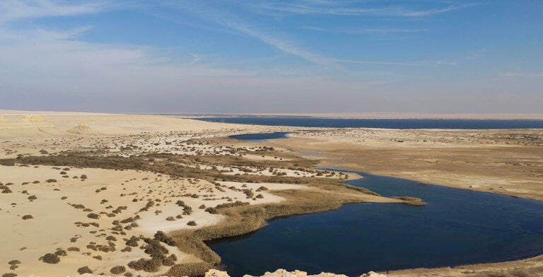 Oasis de Fayum al suroeste de El Cairo