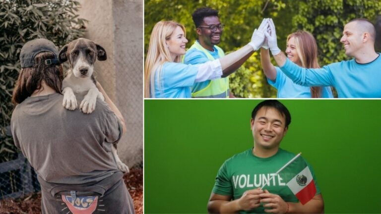 proyectos de voluntariado en monterrey