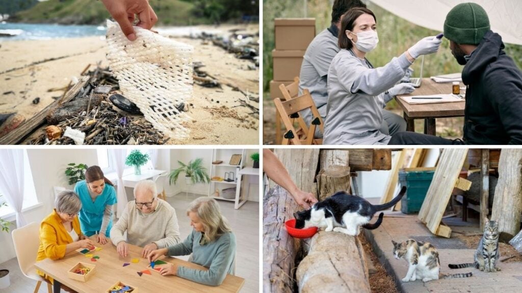 Los mejores proyectos de voluntariado en Gran Canaria, España.