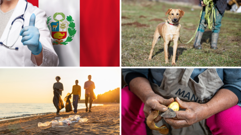 Los mejores proyectos de voluntariado en Lima, Perú,