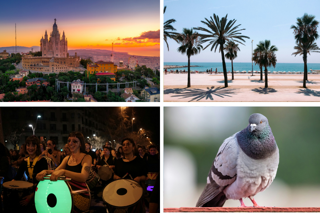 mágenes de tipos de proyectos para realizar en Barcelona.