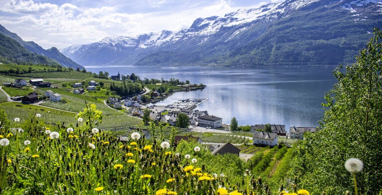 Paisaje del fiordo Hardanger en primavera