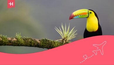 requisitos para viajar a costa rica desde ecuador