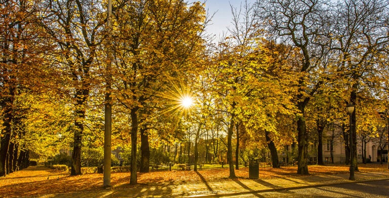Otoño en Oslo, Noruega