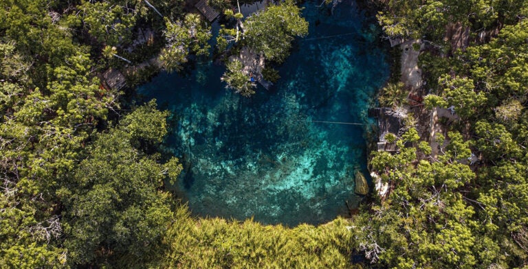 Yucatán está lleno de pozos naturales con aguas cristalinas