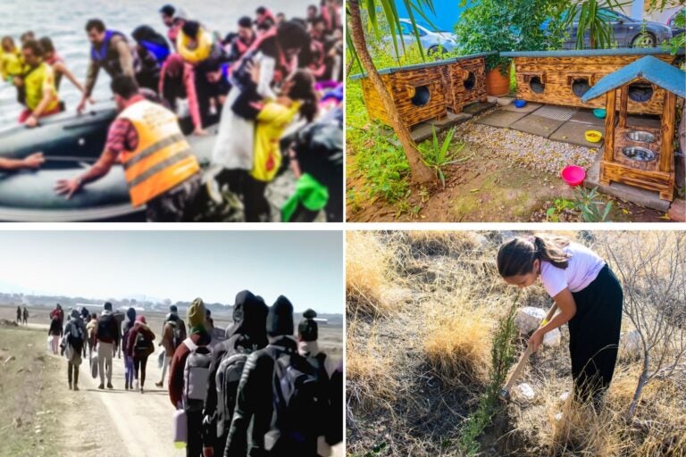 Diferentes tipos de voluntariado en Grecia