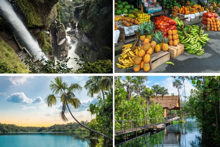 Naturaleza y fruta de Ecuador