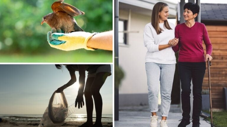 Los mejores programas y proyectos de voluntariado en Malta para este 2026,