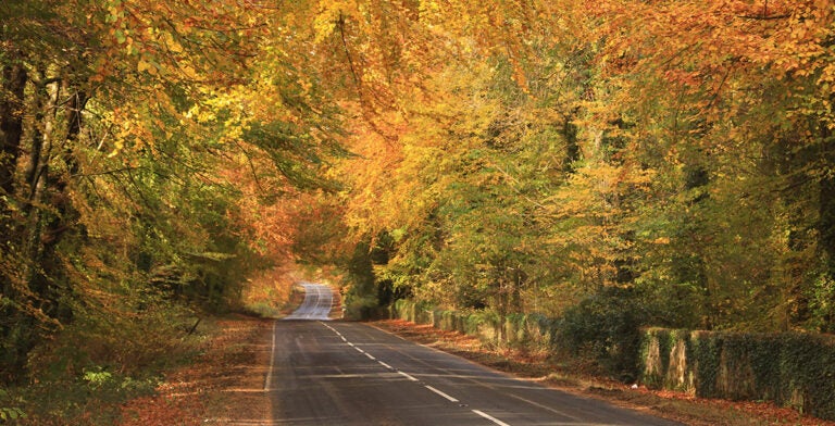 Otoño en una carretera del condado rural de Fermanagh en Irlanda