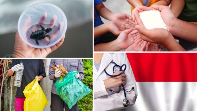 tipos de proyectos de voluntariado en indonesia