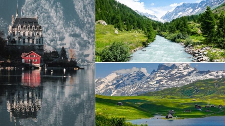 ventajas de hacer un voluntariado en suiza