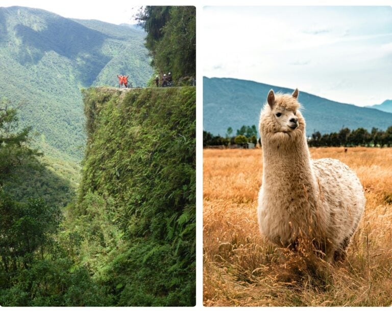voluntariado bolivia, lugares y programas