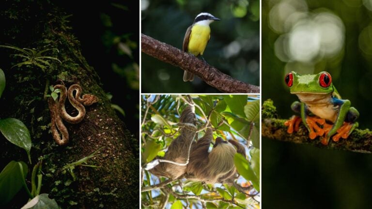 consejos-para-viajar-a-costa-rica