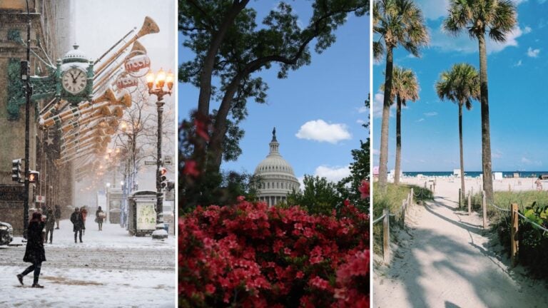 consejos para viajar a estados unidos desde uruguay consejos para viajar a estados unidos desde uruguay