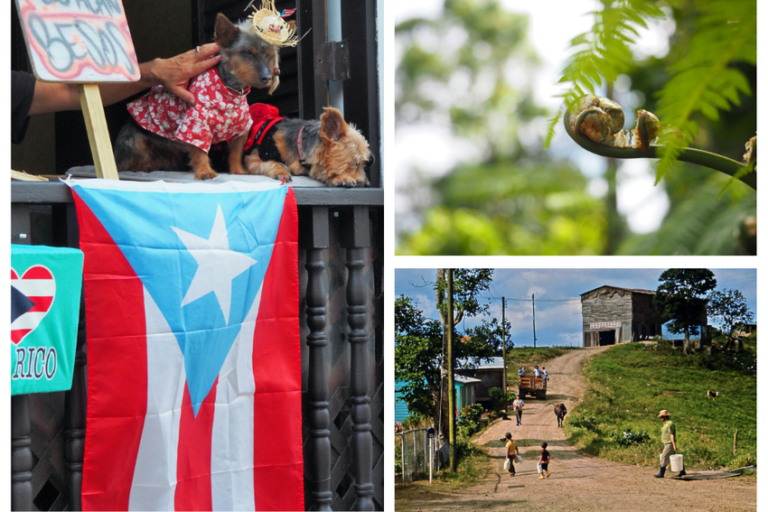 Costo de hacer un voluntariado en Puerto Rico