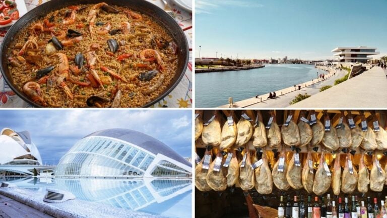 Vive la experiencia de hacer un voluntariado en Valencia en 2026.