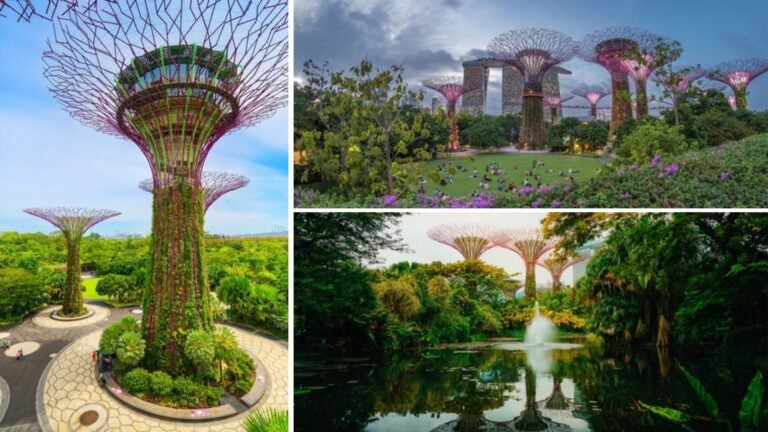 garden-in-the-bay-singapur