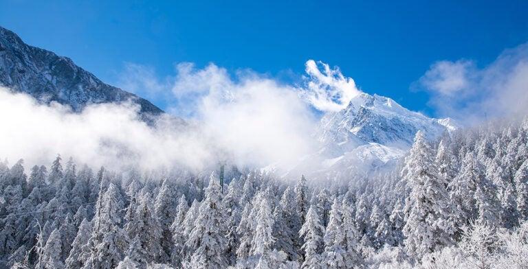 Paisaje nevado en la provincia de Sichuan, China
