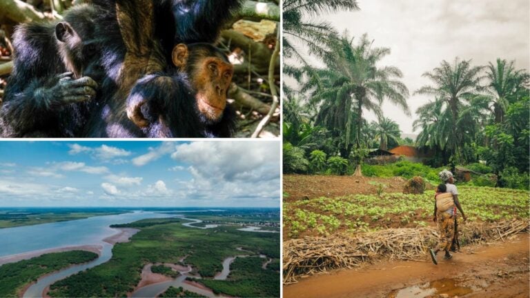 programas-de-voluntariado-gambia