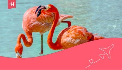 requisitos para viajar a aruba desde república dominicana