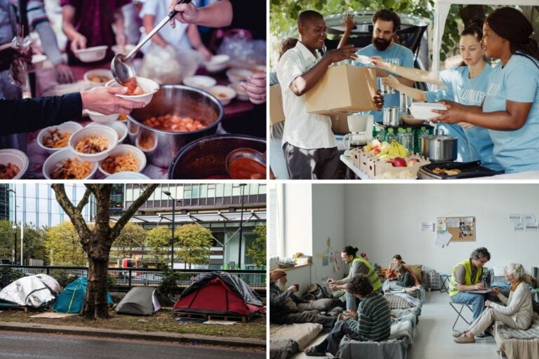 Tipo de voluntariado social
