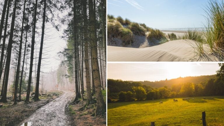 ventajas-de-vivir-en-bélgica