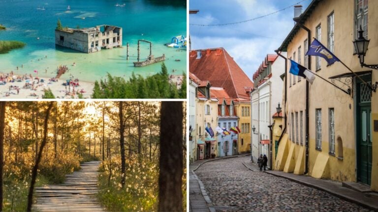 ventajas de vivir en estonia