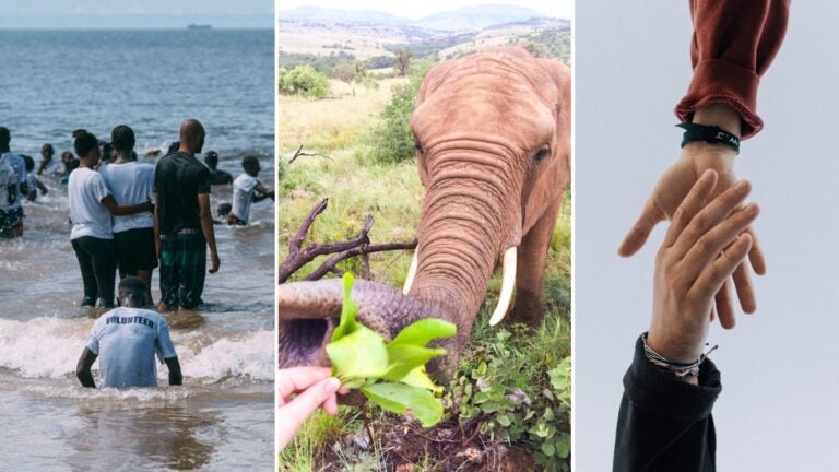 voluntariado-internacional-organizaciones