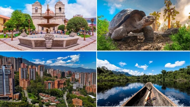 voluntariados en sudamérica