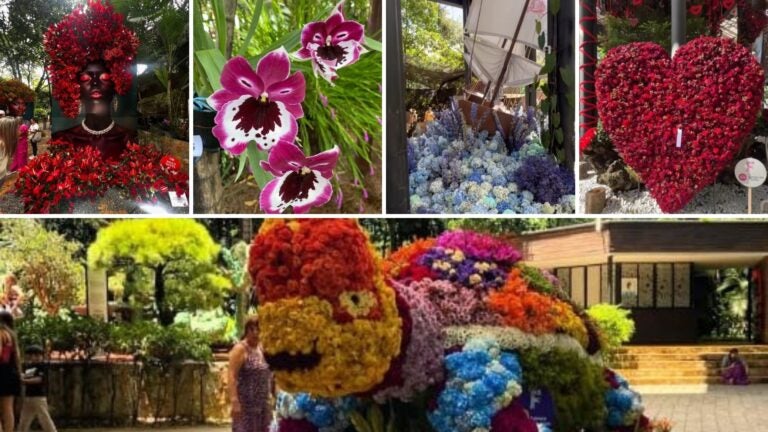 Exhibición Florecer en el Jardín Botánico de Medellín en Feria de Flores