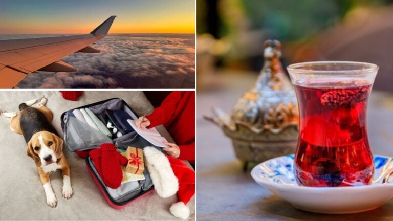 Viajar a Turquía con tu mascota