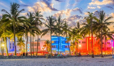 Artículo: comida típica de Florida