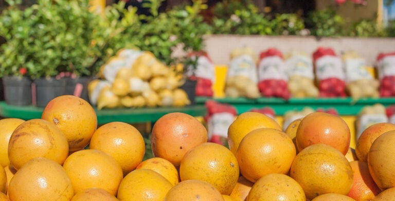 Naranjas y cítricos, un clásico que comprar en Miami