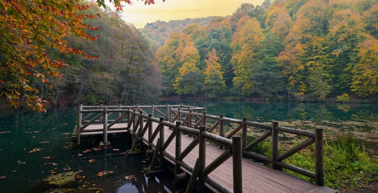 Paisaje de otoño en el Parque Nacional de Yedigöller en Bolu, Turquía 