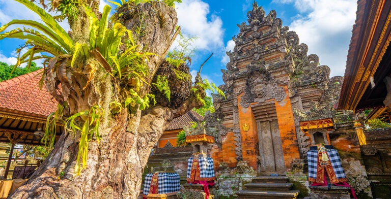 Palacio de Ubud, Bali