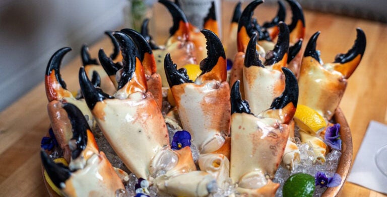 Pinzas de cangrejo de piedra, un plato típico en Florida