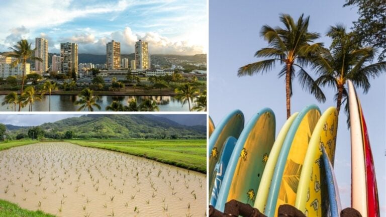 tipos-de-trabajo-en-hawaii