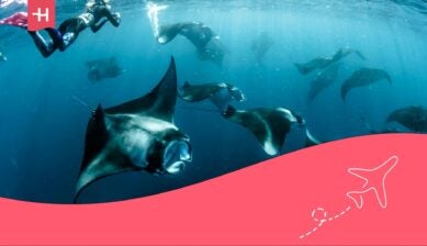 voluntariado maldivas