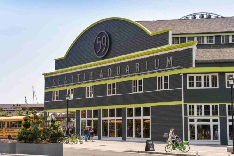 Explora el Acuario de Seattle, situado en el paseo marítimo, y descubre la fascinante vida marina del noroeste del Pacífico