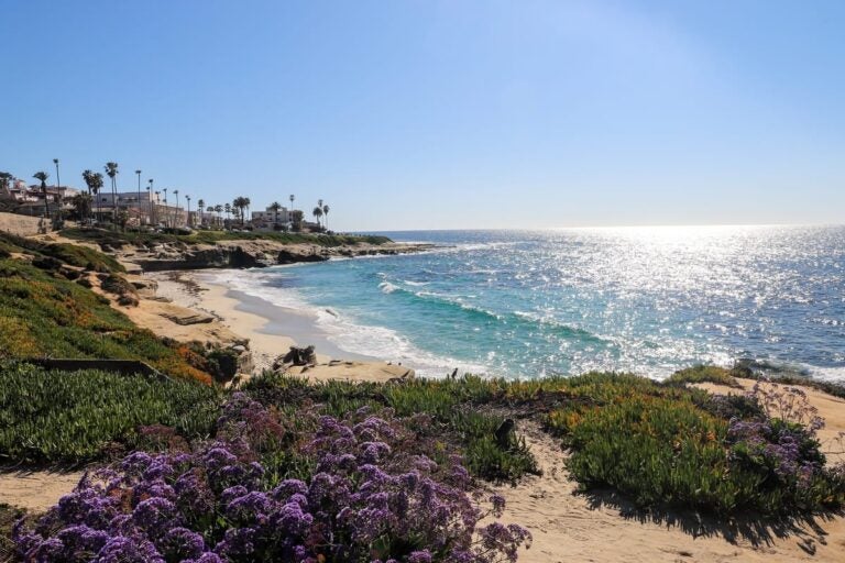 Ciudades del mUndial 2026: Los Angeles