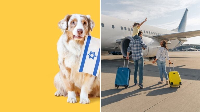 viajar-con-niños-mascota-israel