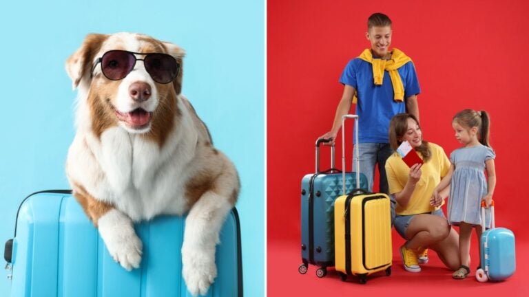 viajar-con-niños-mascota-paraguay